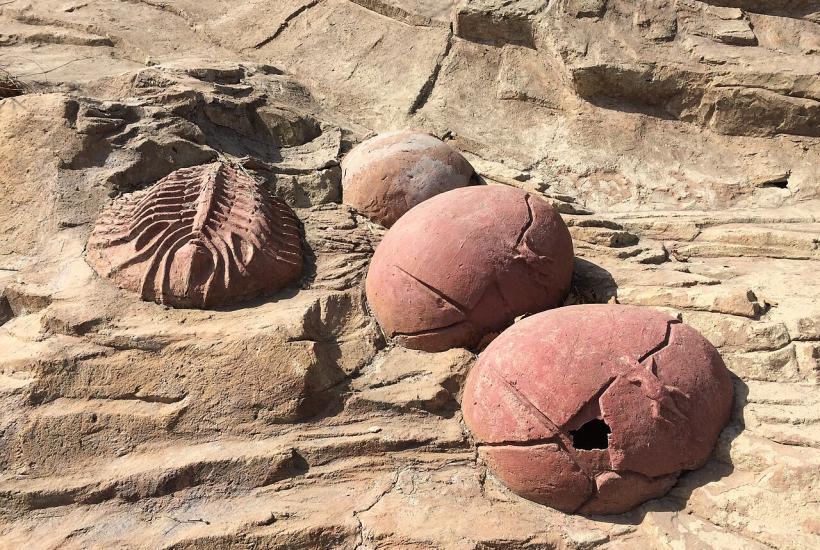 Descoberta de ovos de dinossauro de 100 milhões de anos nos EUA surpreende paleontólogos