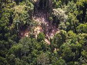 95% do desmatamento dos últimos três meses ocorreu sem autorização, aponta MapBiomas Alerta