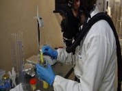 Investigadores de Coimbra desenvolvem aerogéis "limpos"