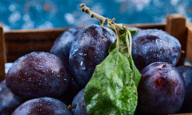 Por que sua ameixeira floresce mas não produz frutas? Entenda e corrija