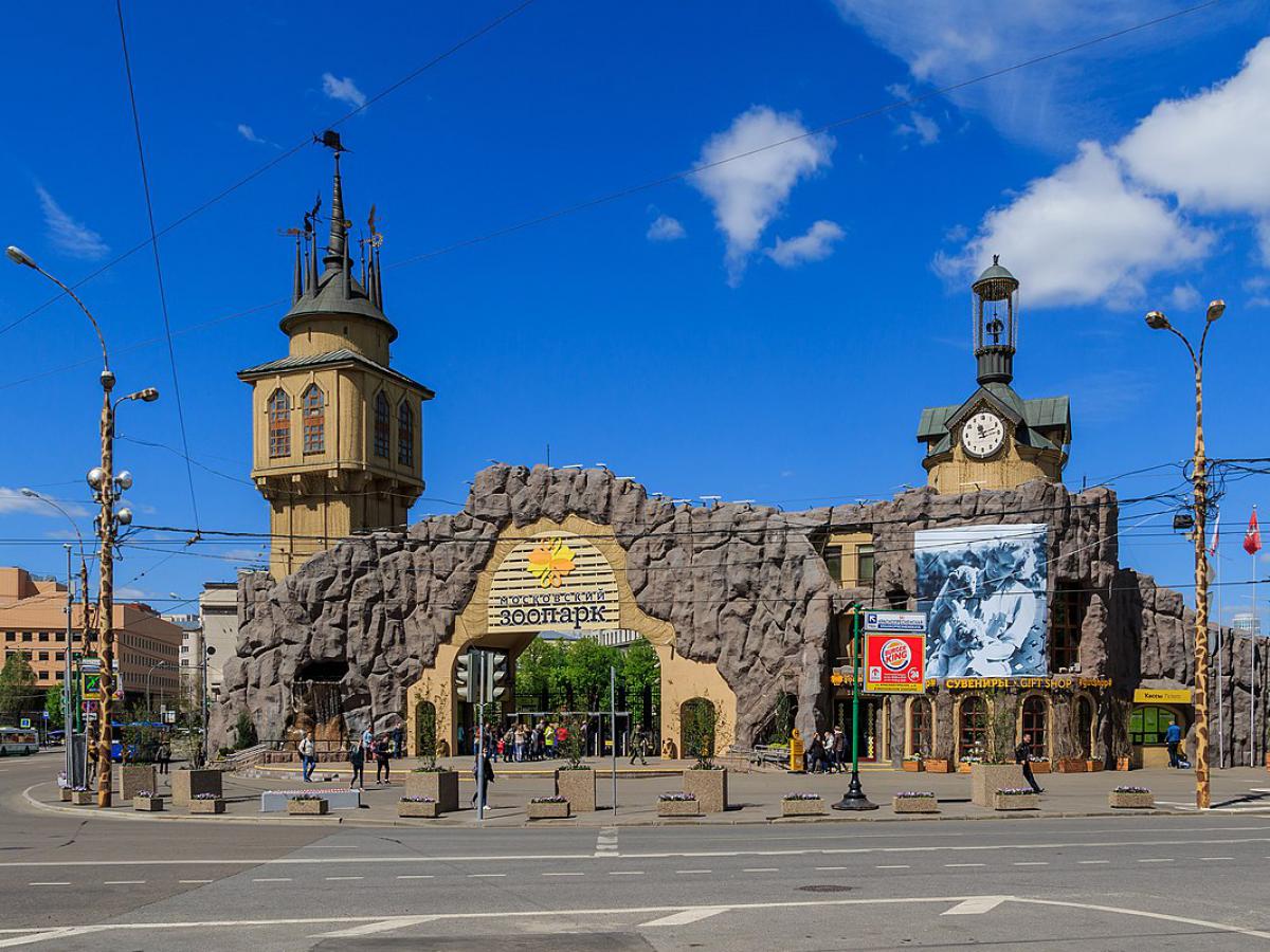 A entrada do Zoológico de Moscou foi decorada com a mais recente tela 3D