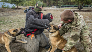 Cães de guerra continuam o serviço na Rússia