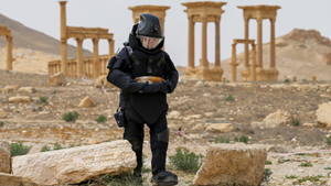 Especialistas russos desminam Palmira